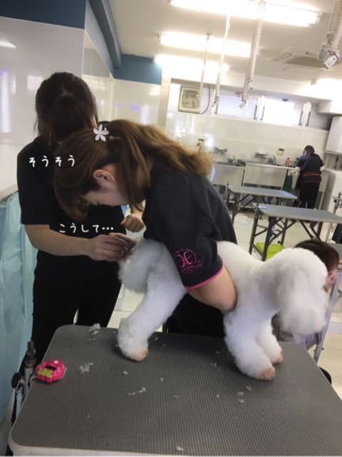586_0004.jpg
