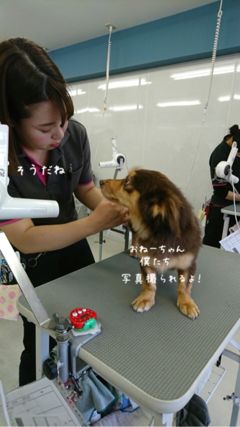 587_0009.jpg
