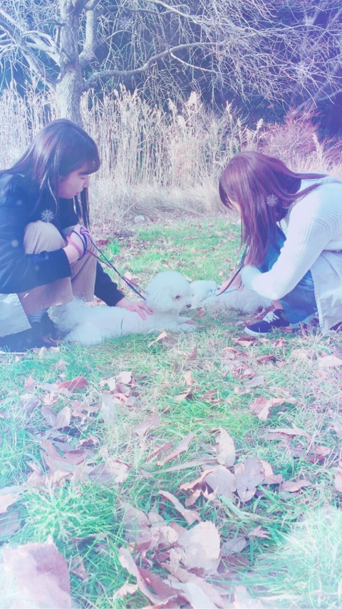 598_0012.jpg
