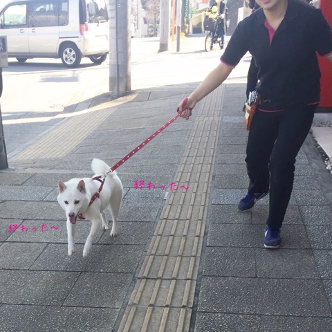 614_0005.jpg
