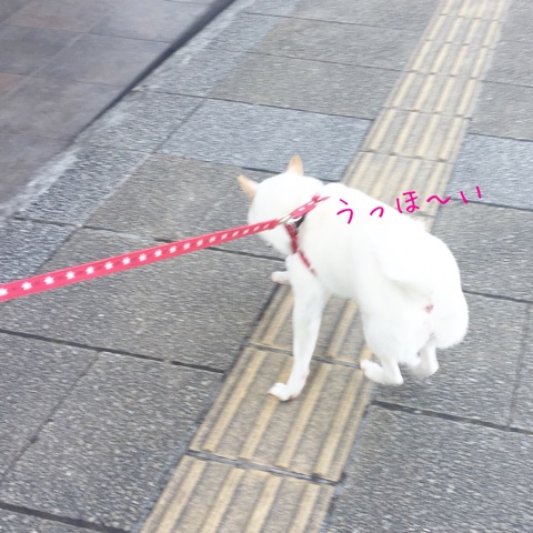 614_0006.jpg