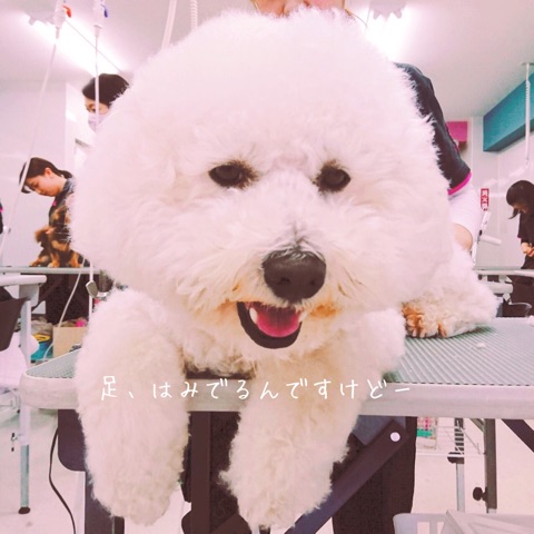 615_0010.jpg
