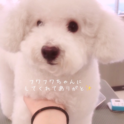 621_0004.jpg