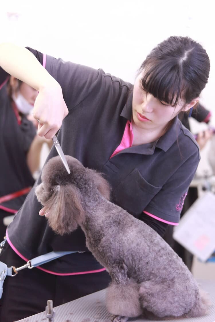 とにかく犬に触れて１人１頭週４回トリミングをするので、物凄いスピードで上達します。