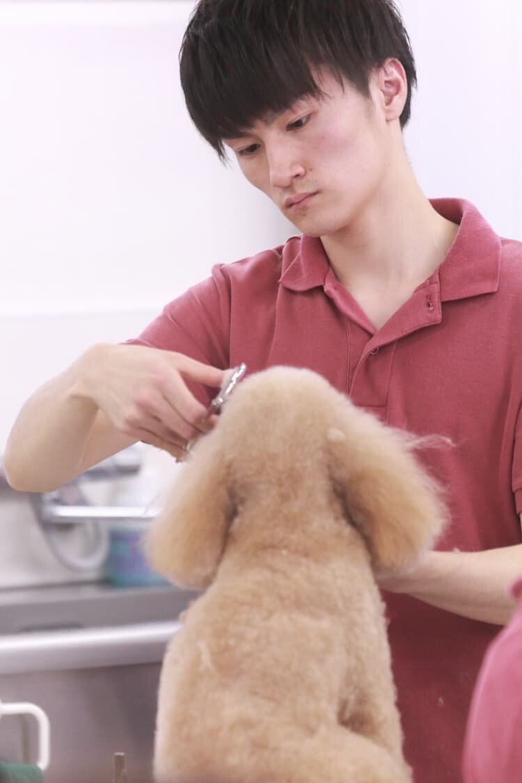 飼育管理や子犬の管理、出産に立ち会うなど、社会に出てから必要なことや貴重な体験ができました！