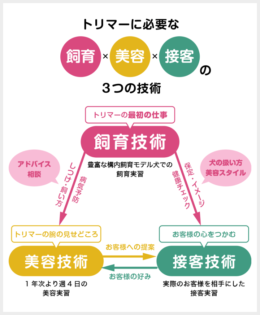 トリマーに必要な「飼育」「美容」「接客」の３つの技術