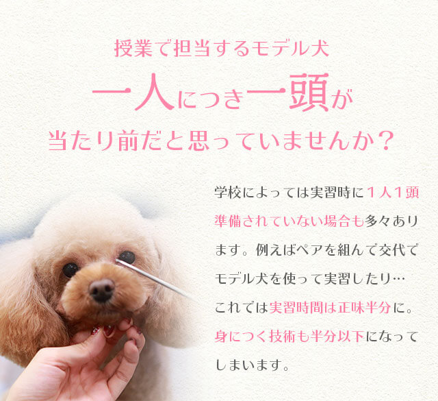 授業で担当するモデル犬、一人につき一頭が当たり前だと思っていませんか？