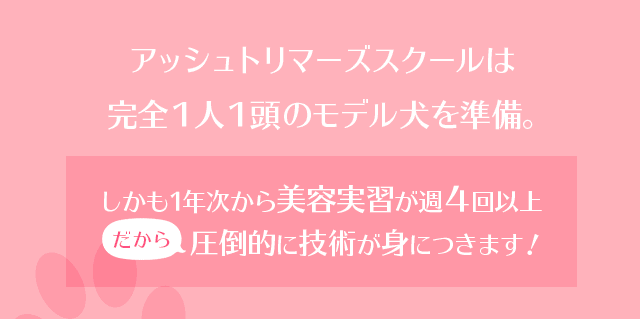 アッシュトリマーズスクールは完全1人1頭のモデル犬を準備。