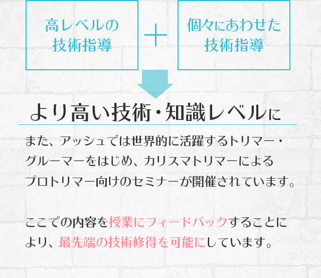 高レベルの技術指導＋個々に合わせた技術指導＝より高い技術・知識レベルに。